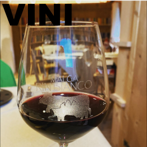 vini
